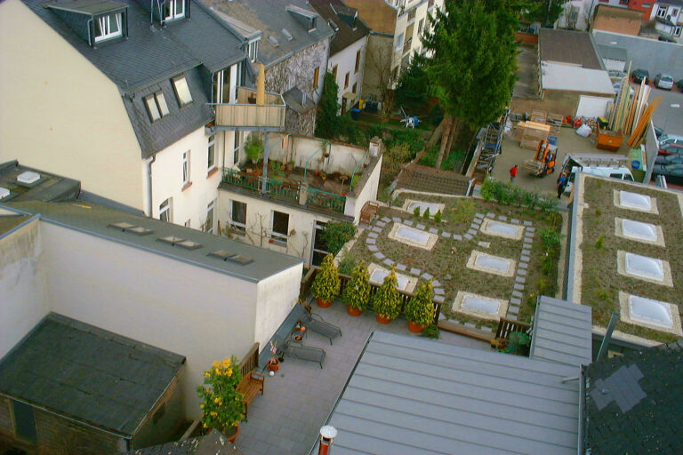 Begrünung_6